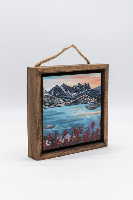 Placid Paintbrush Shadow Box|328