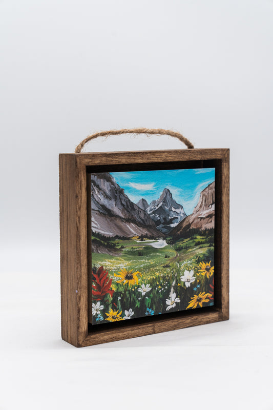 Preston Park in Glacier National Park Shadow Box