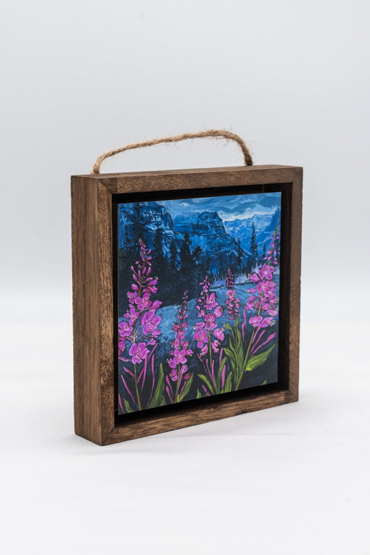 Fireweed Freeze in Glacier National Park Shadow Box|324