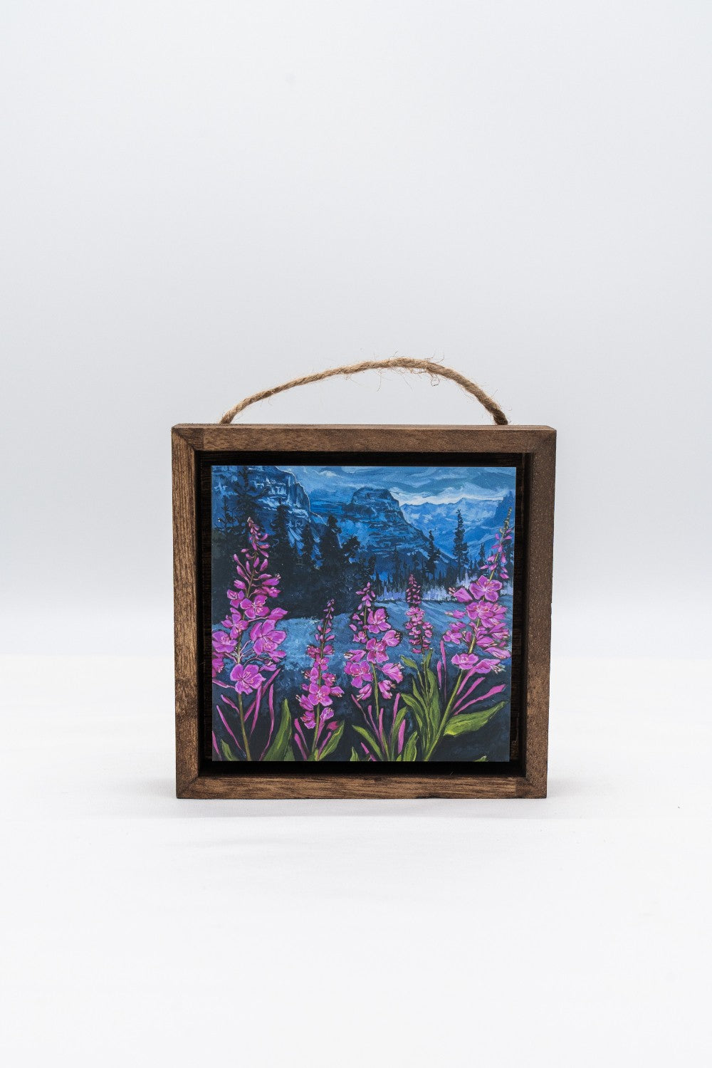 Fireweed Freeze in Glacier National Park Shadow Box|323