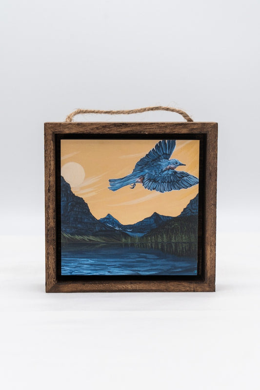Mountain Bluebird over Glacier National Park Shadow Box|314