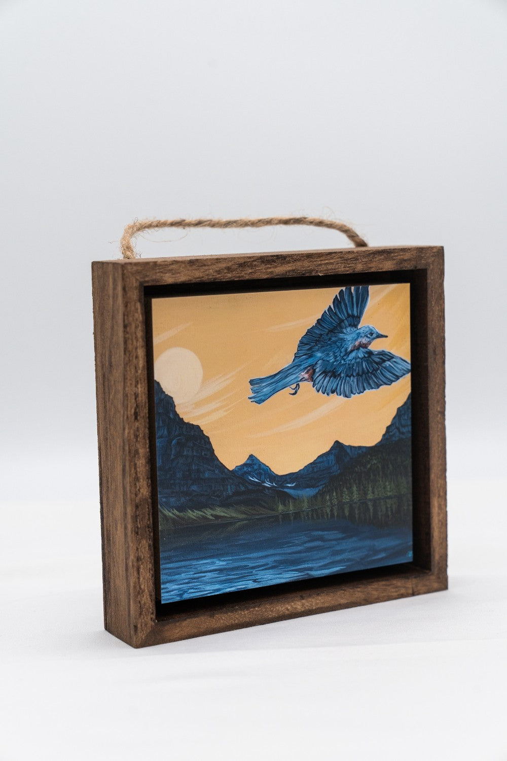 Mountain Bluebird over Glacier National Park Shadow Box|315