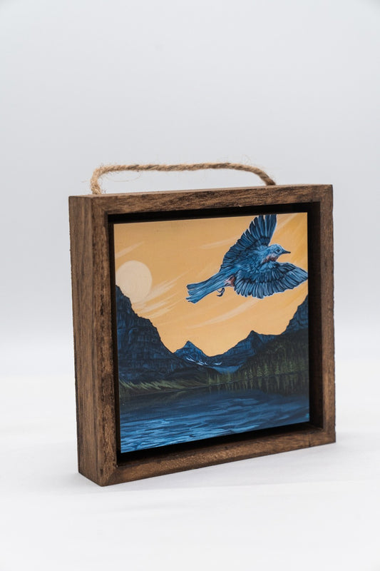 Mountain Bluebird over Glacier National Park Shadow Box|315
