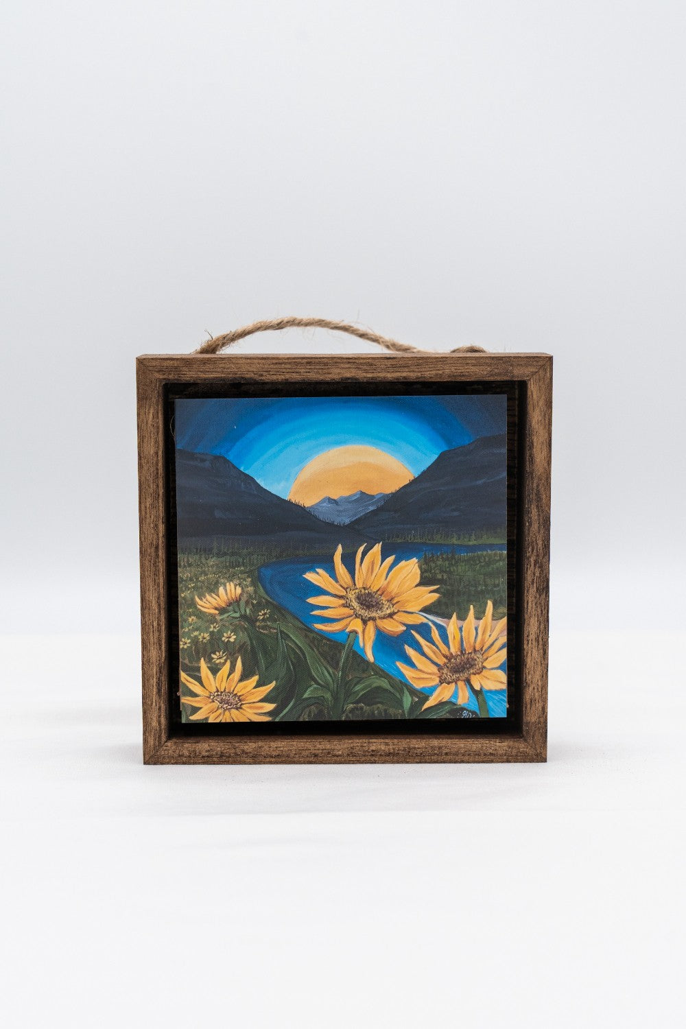 Balsamroot on the Flathead River Shadow Box|330
