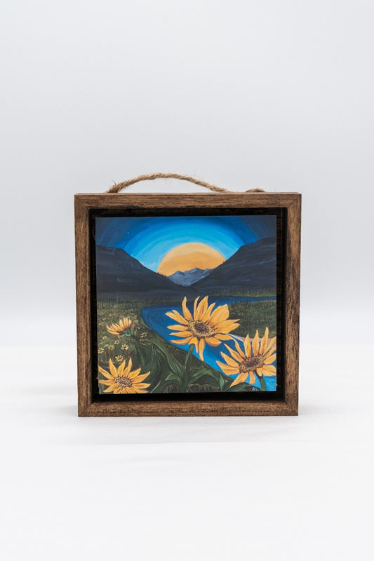 Balsamroot on the Flathead River Shadow Box|330