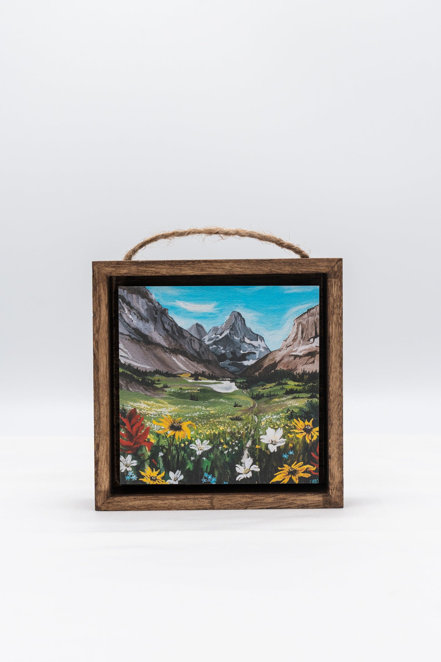 Preston Park in Glacier National Park Shadow Box