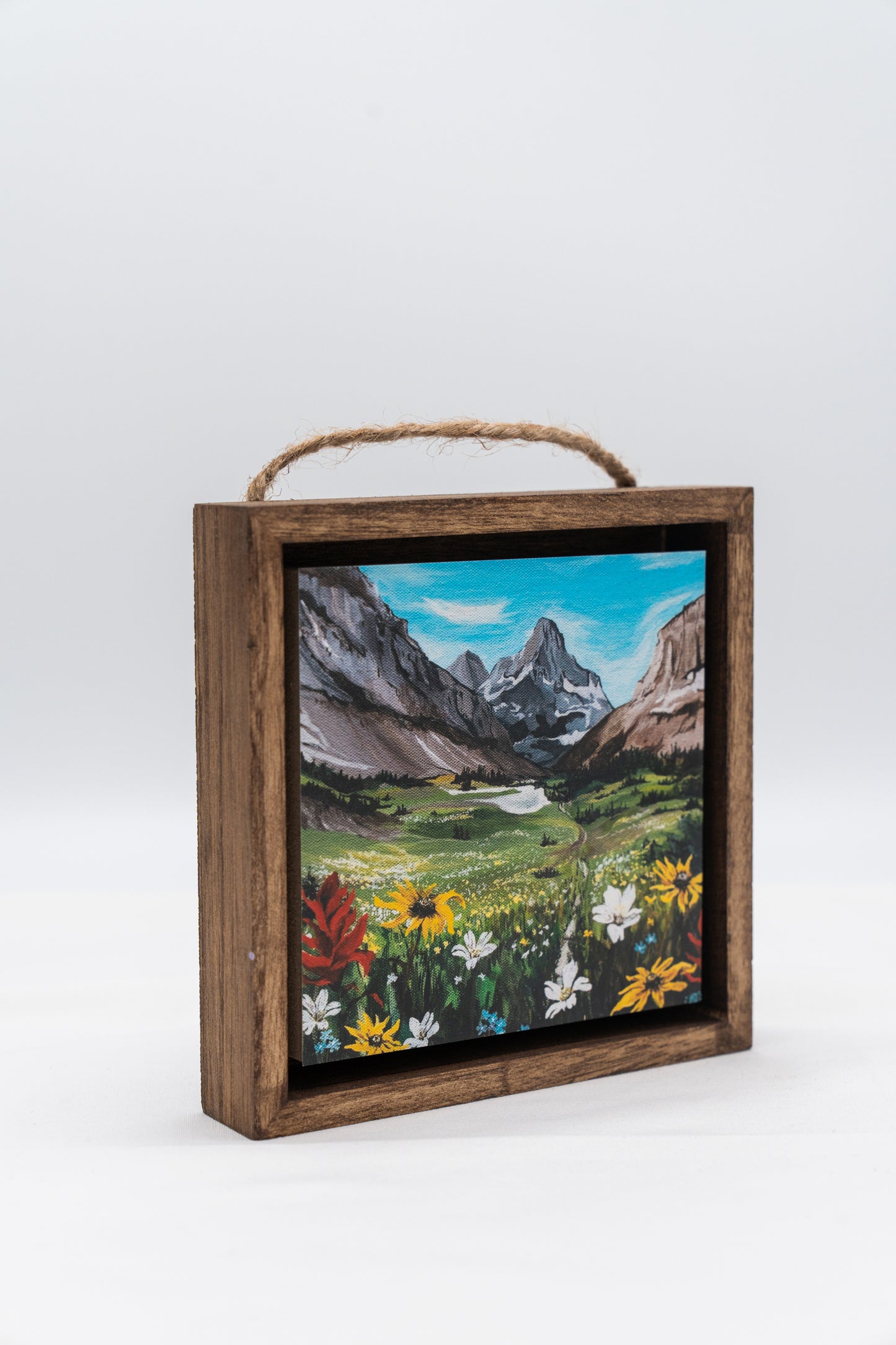 Preston Park in Glacier National Park Shadow Box