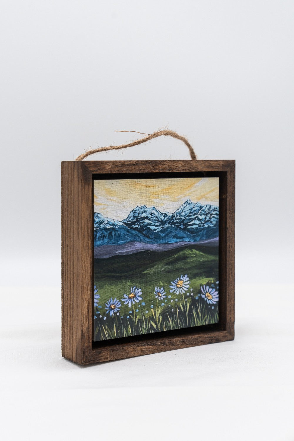 Demers Daydream in Glacier National Park Shadow Box|335