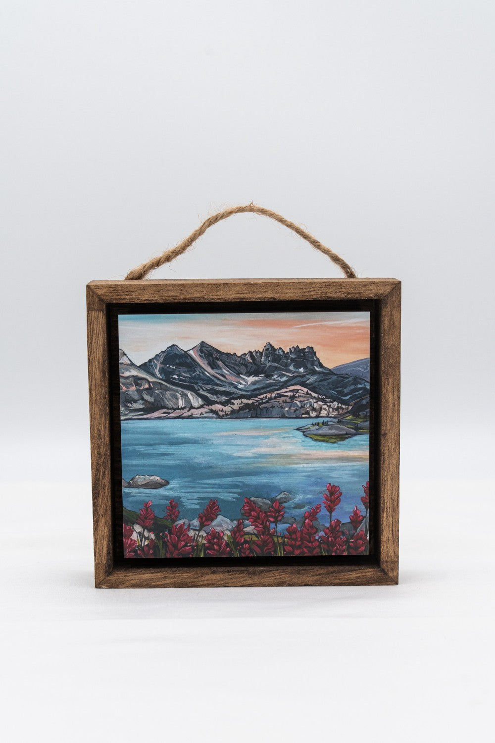 Placid Paintbrush  Shadow Box|327